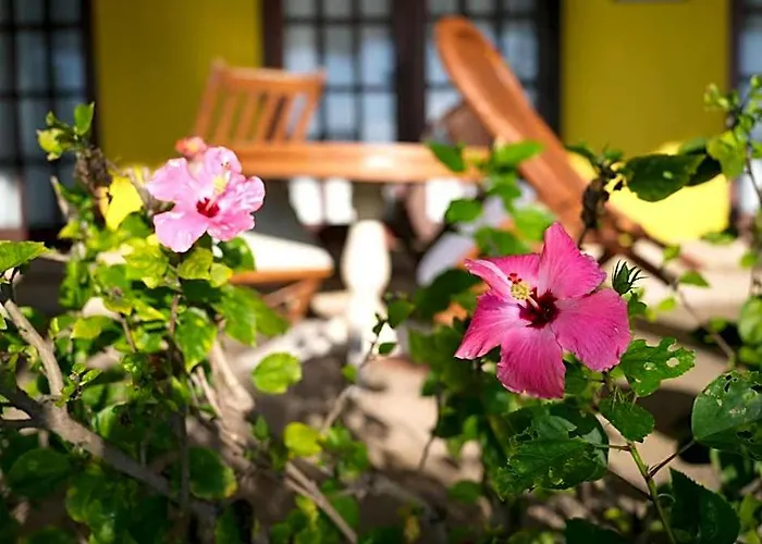 Hotel Flores Beachside