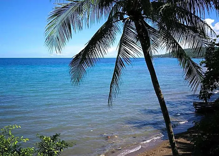Flores Beachside 4*