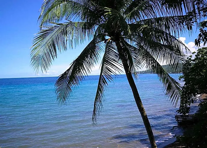 Flores Beachside